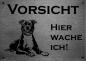 Preview: Edelstahl Warnschild American Pitt Bull VORSICHT Freilaufender Hund! Betreten auf eigene Gefahr!
